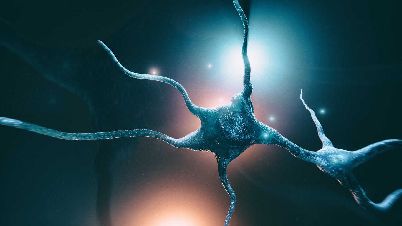 Neuron cells