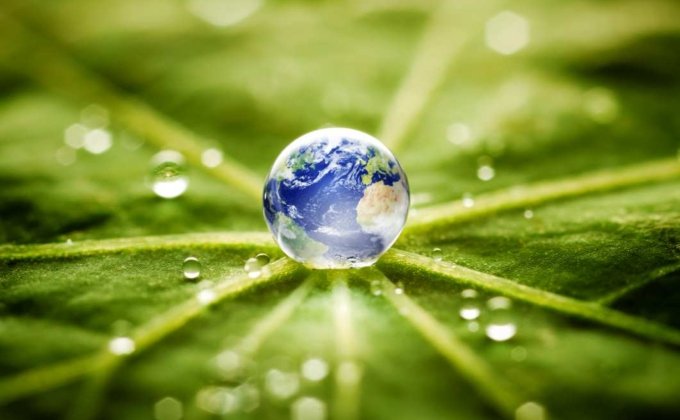 Nature Connection
