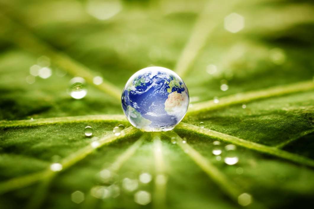 Nature Connection