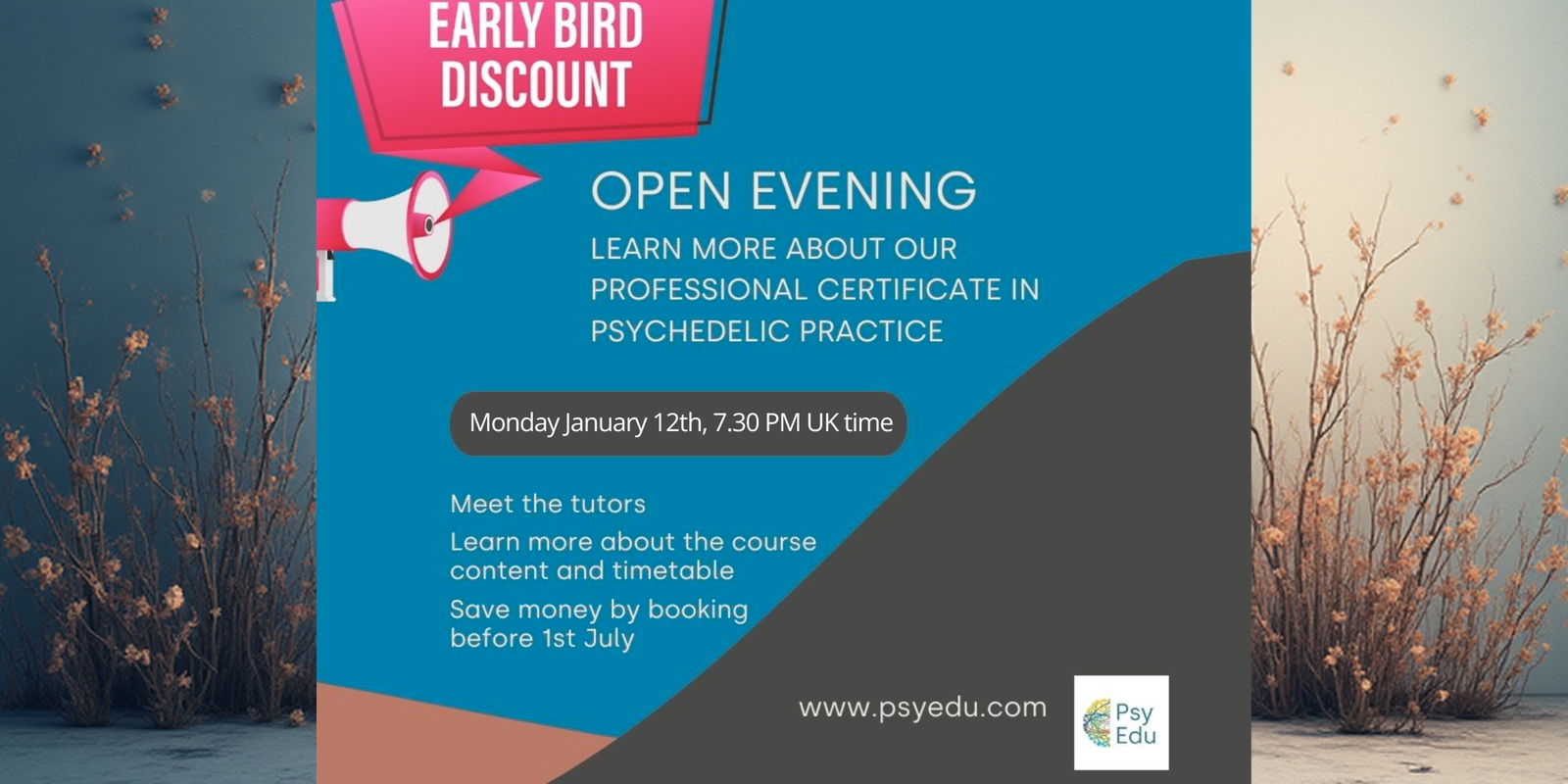 psychedelic practitioner training